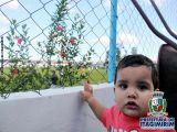 442ad70155f851ed56660075a782b1fb.jpg