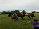 b7583090de95e3db79873fbdfa5814d6.jpg
