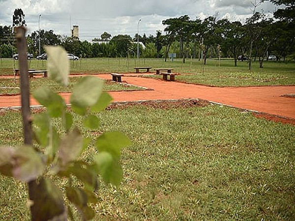 Espaço é um dos quatro locais que comporão o projeto Brasília Capital do Ipê. Foto: Andre Borges/Agência Brasília