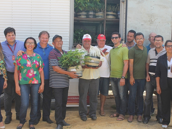 Mudas são entregues a produtores. Foto: ASCOM